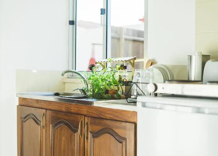 לינה וארוחת בוקר Soulsurfcamp Portugal