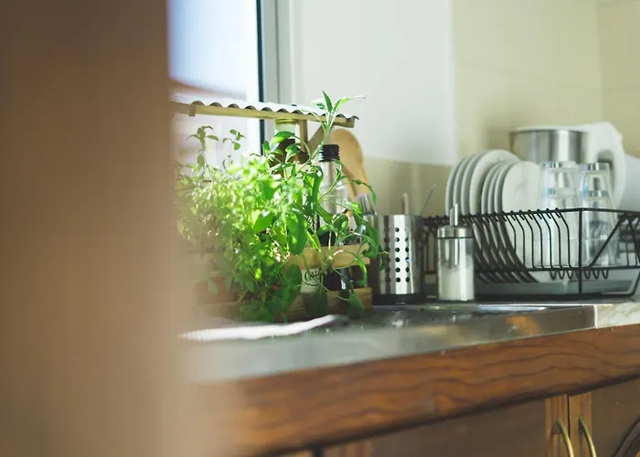 Soulsurfcamp Portugal